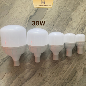 Bóng đèn điện G8 Home 30W