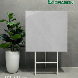 Gạch 60x60 mã gen-h-5541